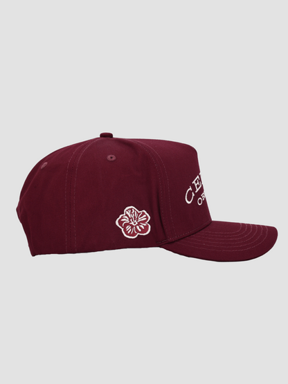 Burgundy Hat